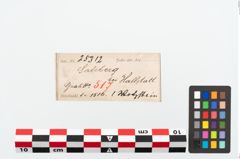 Etikett zu Schleifstein (NHMW-PRAE-025312)